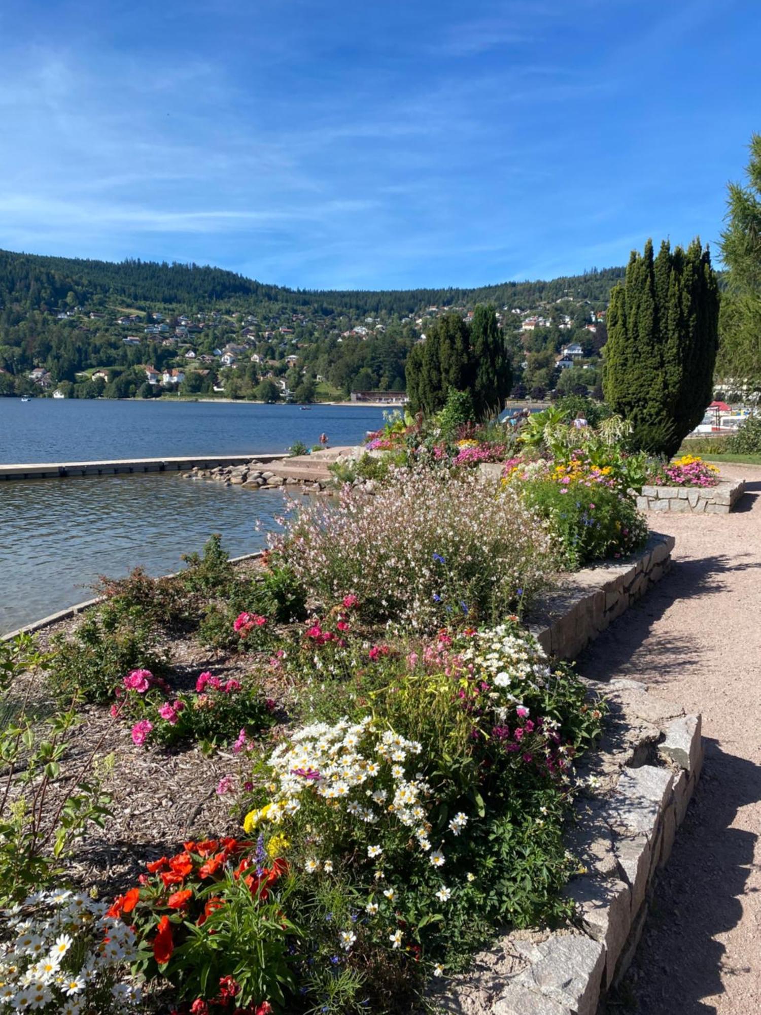 Charmant Chalet, Spacieux, Proche Du Lac, Vue Sur La Montagne Gérardmer Esterno foto