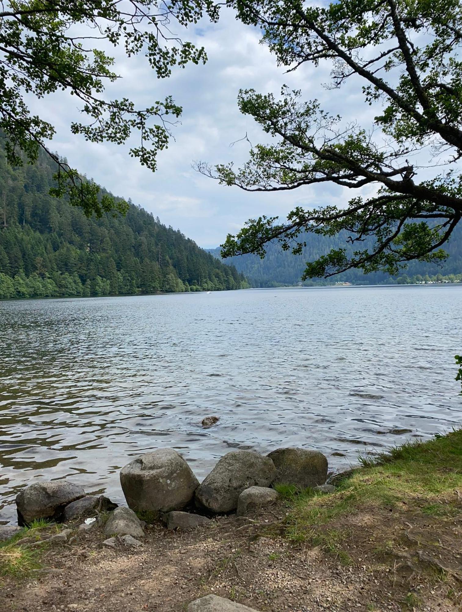 Charmant Chalet, Spacieux, Proche Du Lac, Vue Sur La Montagne Gérardmer Esterno foto